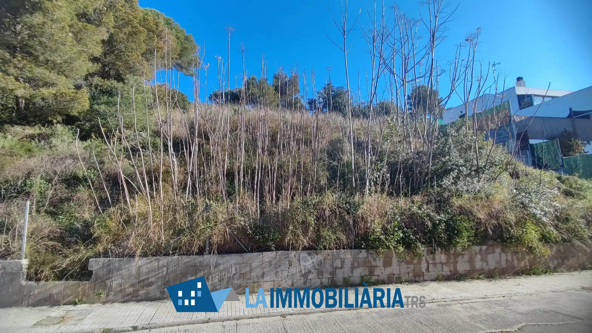 Terreni e lotti in vendita a Sud, imagen 2