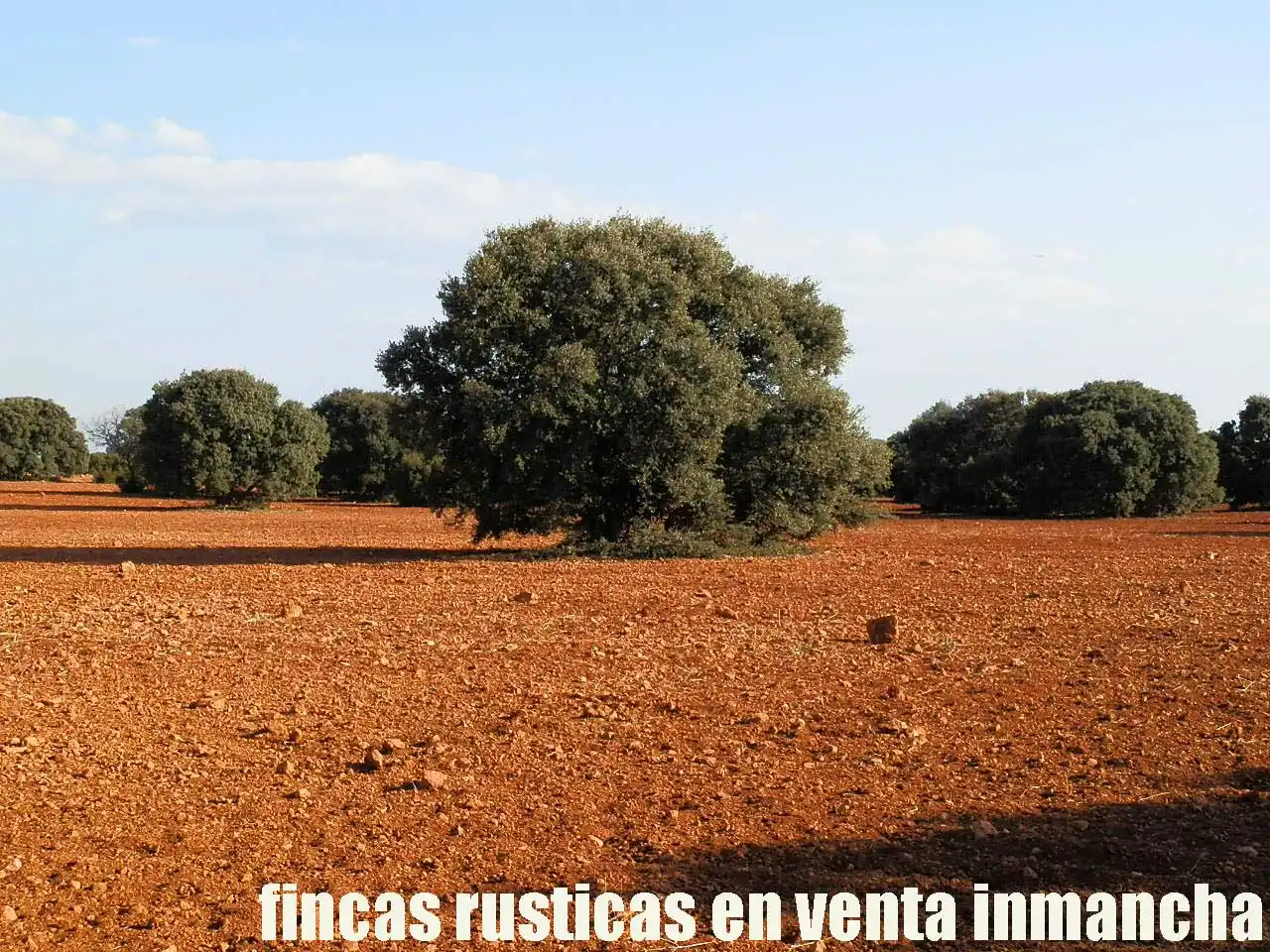 Terreno rustico in vendita a Ruidera, imagen 14
