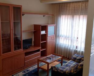 Sala d'estar de Apartament de lloguer en Oviedo 