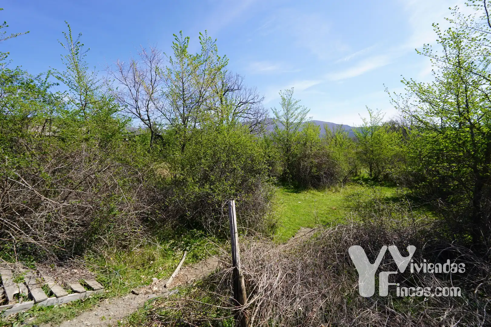Terreno rústico en venta en Campillo de Ranas, imagen 15