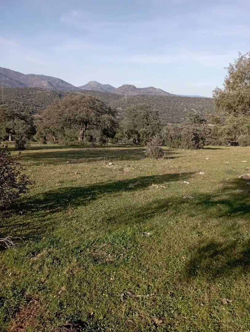 Terreni e lotti in vendita a San Román de los Montes, imagen 8