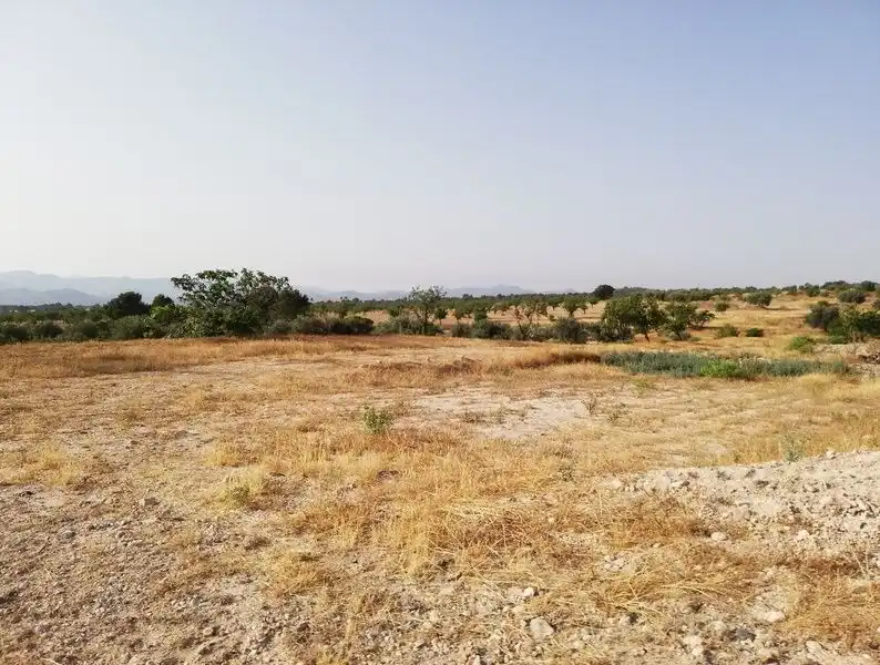 Rural land for sale in Aguica M Lorca 80, imagen 3