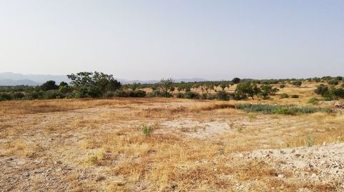 Foto 3 de Terreno en venta en Aguica M Lorca, 80, Fontanares, Lorca