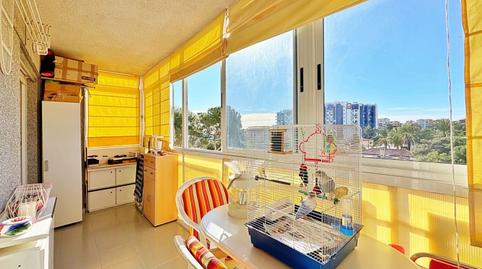 Photo 3 of Apartment for sale in N/a, -1, Punta Prima, Alicante