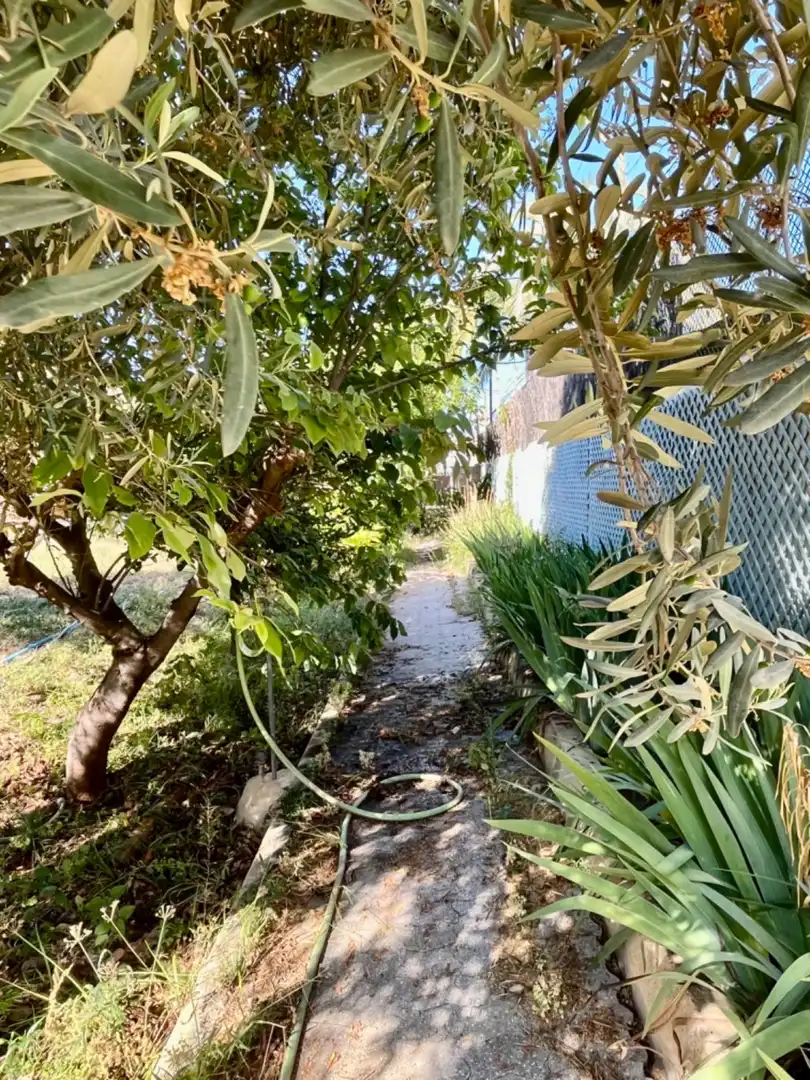 Villa avec terrasse à vendre à Elche ciudad, imagen 66