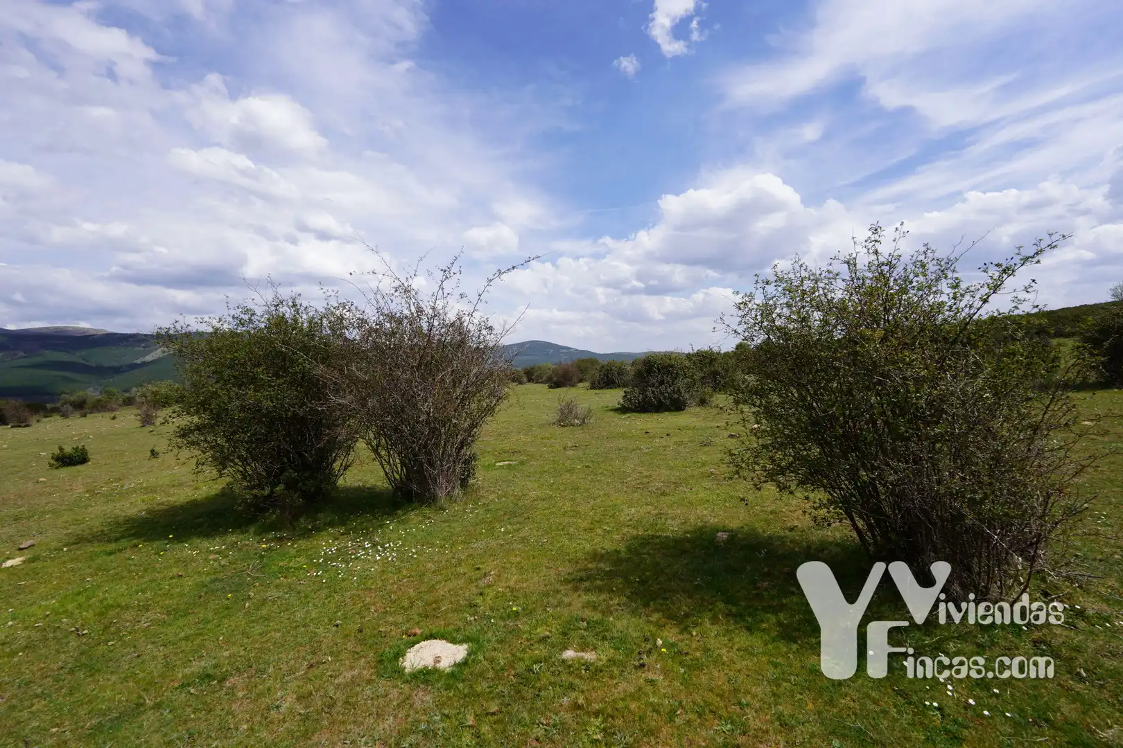 Terreno rústico en venta en Campillo de Ranas, imagen 2