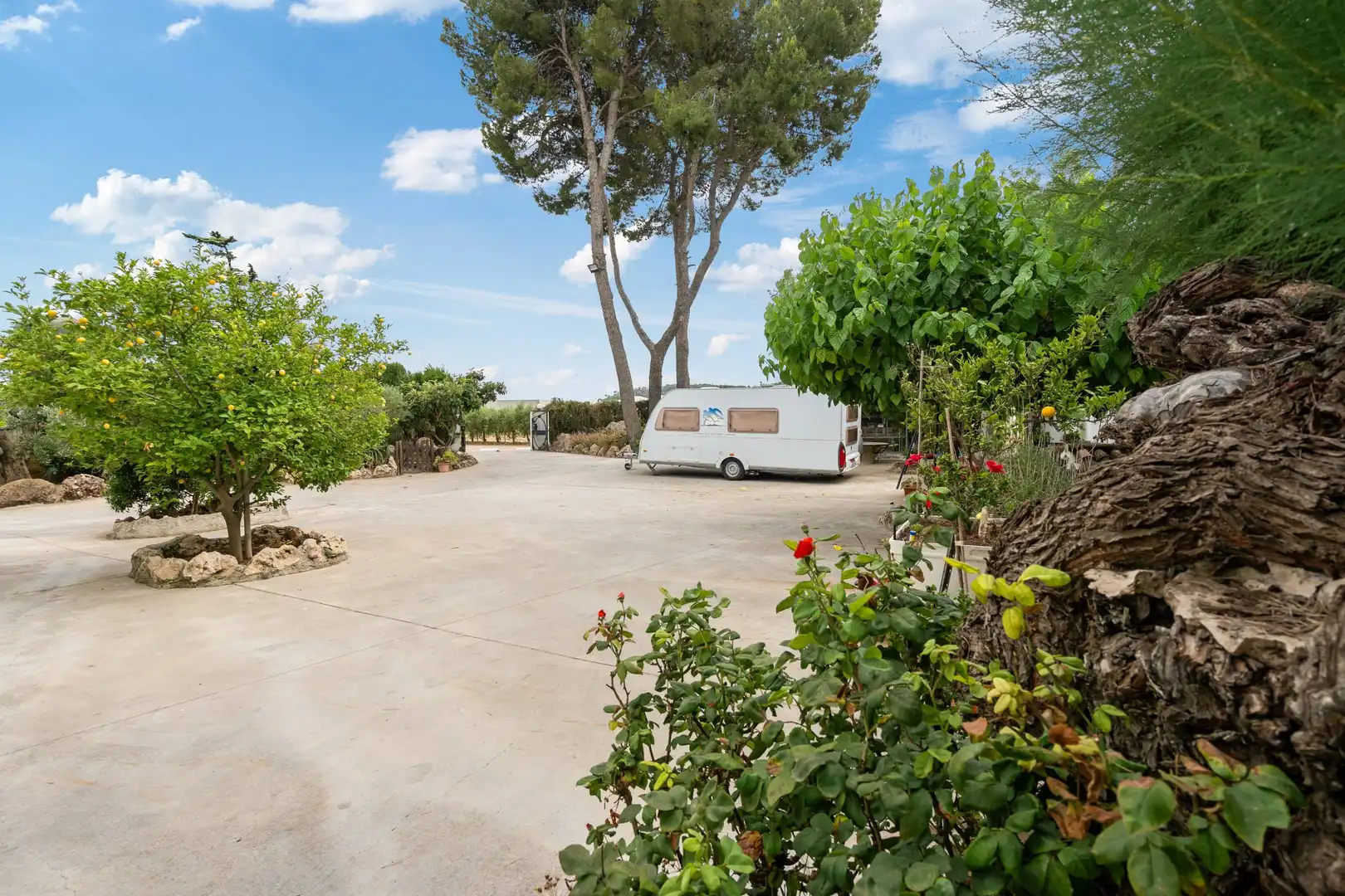 Casa rústica amb piscina en venda a Carrer de la Serra de Dalt 15, imagen 28
