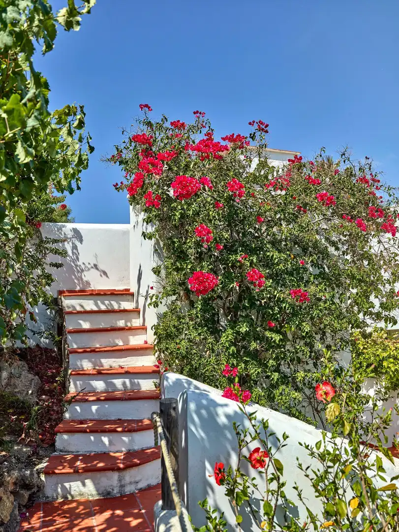 Vista exterior de Casa o chalet en venta en Sant Josep de sa Talaia con Aire acondicionado, Calefacción y Jardín privado