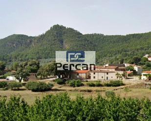 Land for sale in Yeste