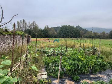 Terreno rustico in vendita a MARRON-ESCUELAS