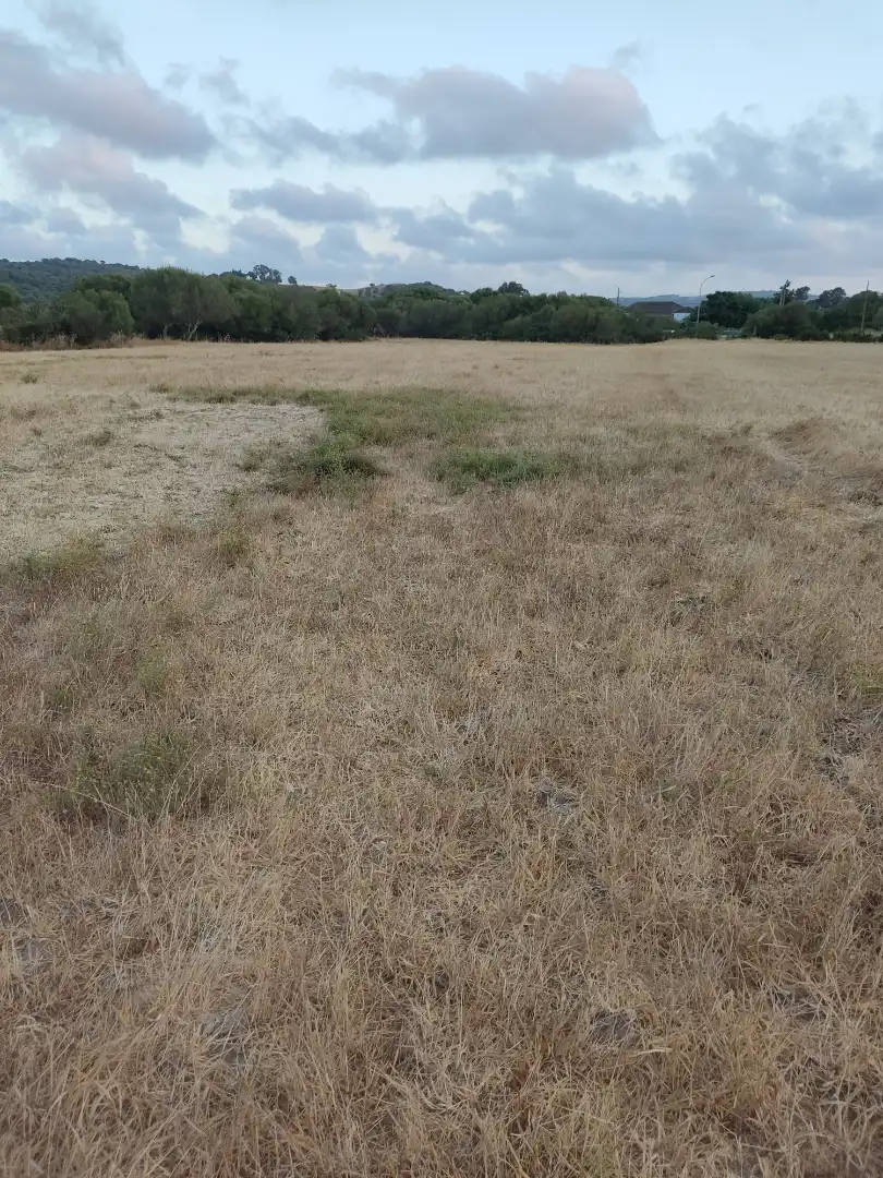 Land for sale in Vejer de la Frontera