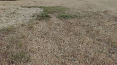 Photo 5 of Land for sale in Vejer, Vejer de la Frontera