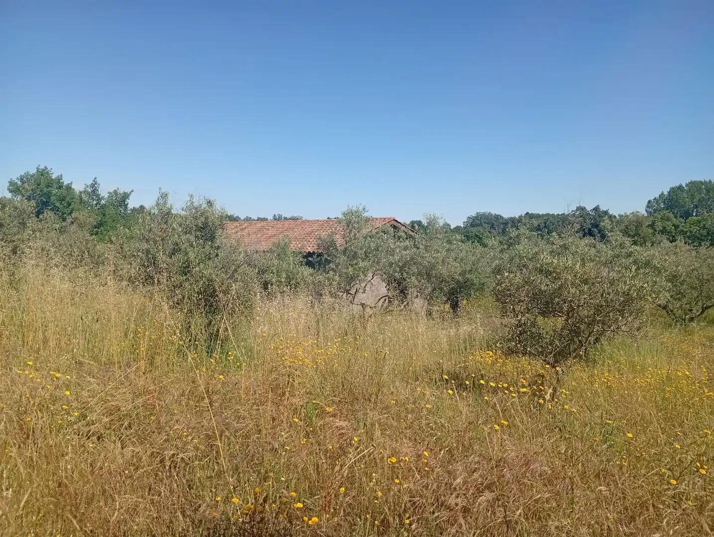 Maison à vendre à Villanueva de la Vera, imagen 67