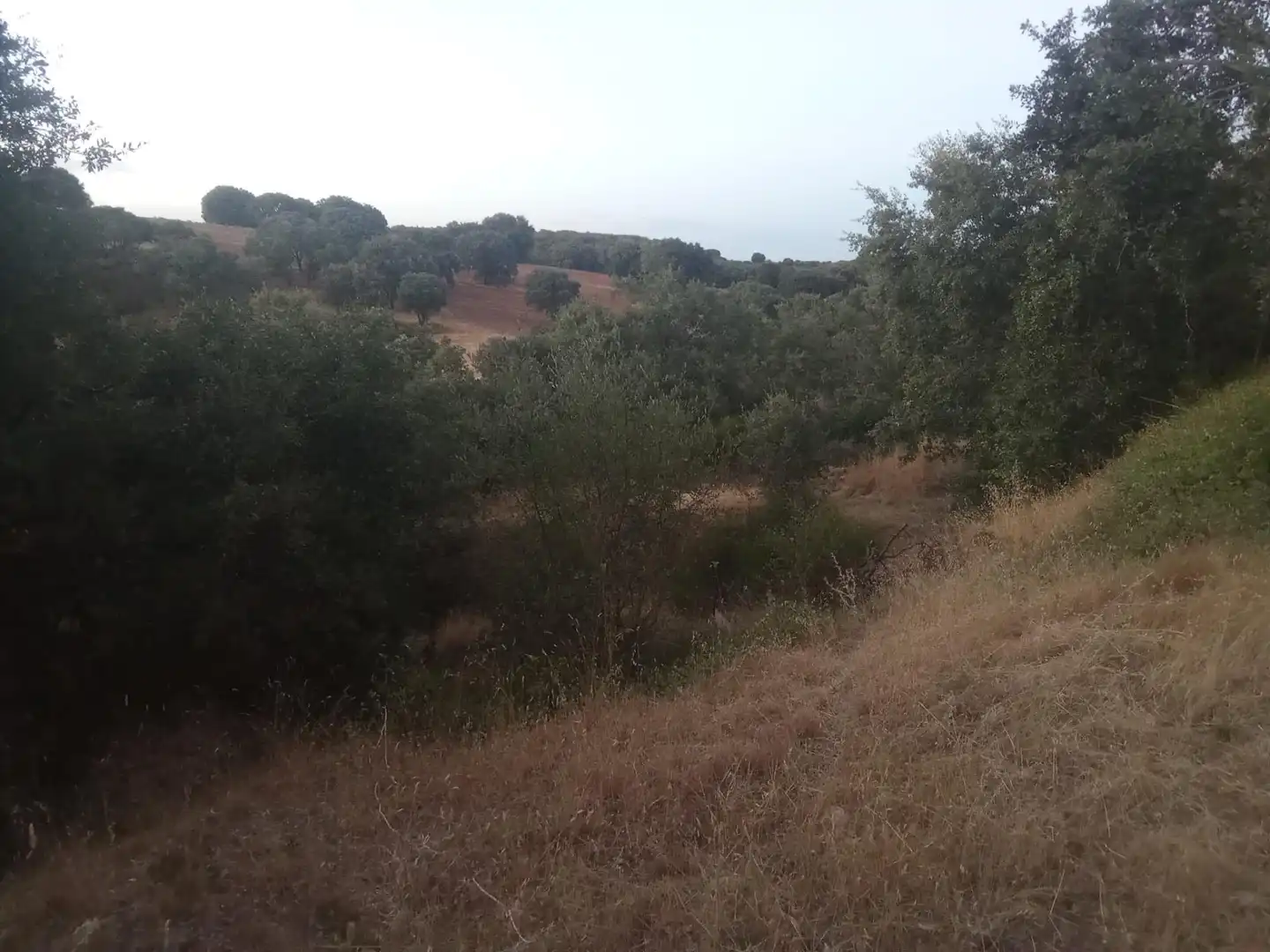 Residential land for sale in Valdenuño Fernández, imagen 12