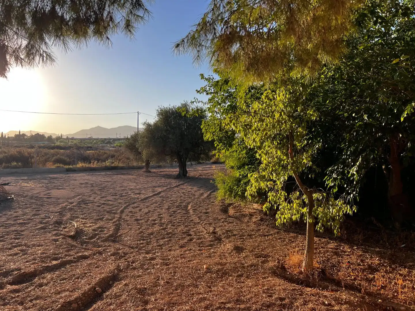 Casa o xalet en venda en Elche / Elx amb Jardí privat, Terrassa i Traster