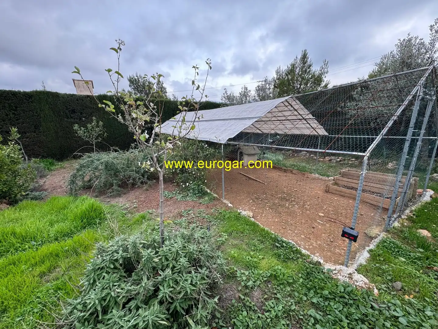Garden of Houses for sale in Siete Aguas  with Storage room and Swimming Pool