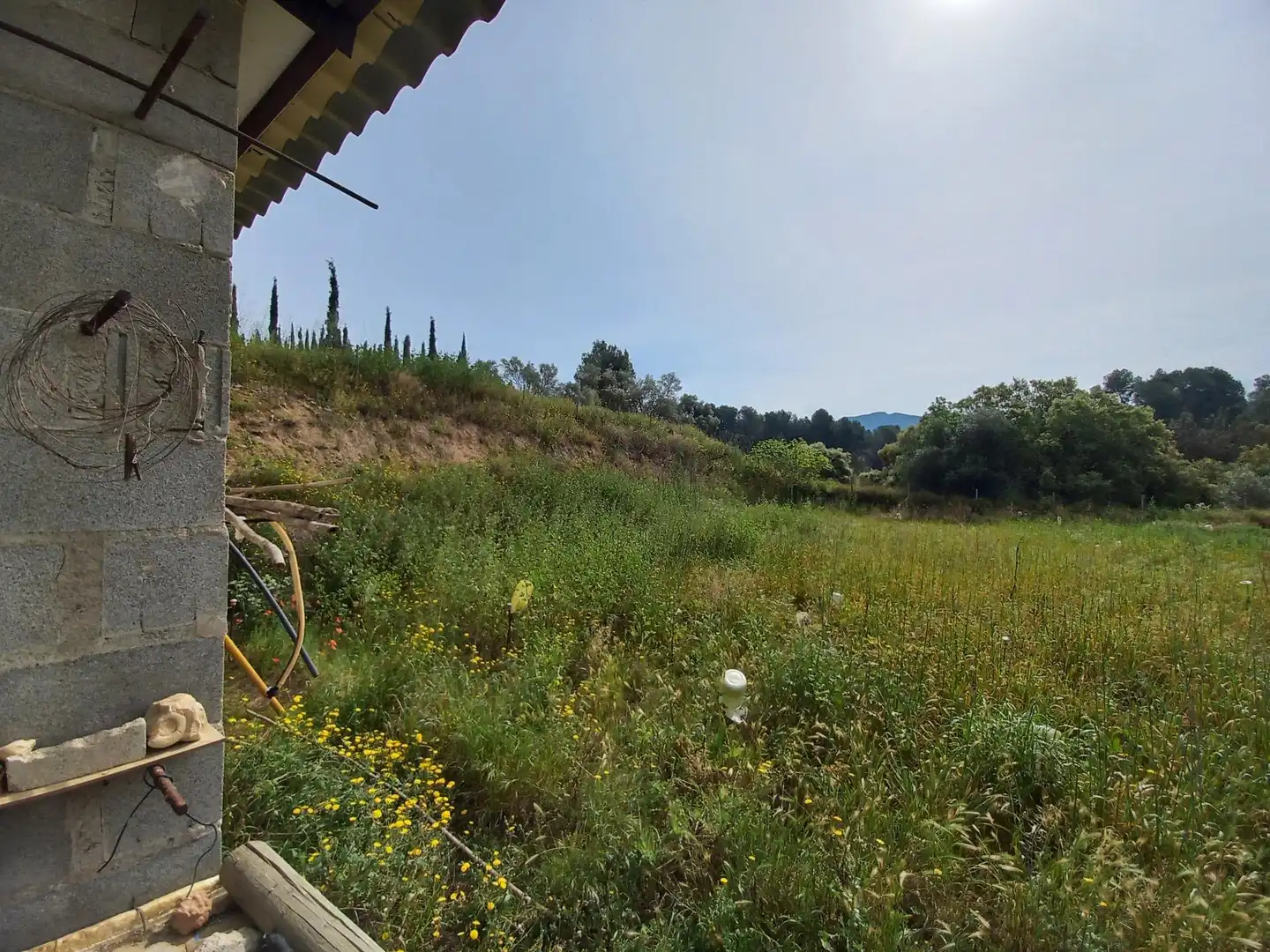 Rural land for sale in Ginestar, imagen 13