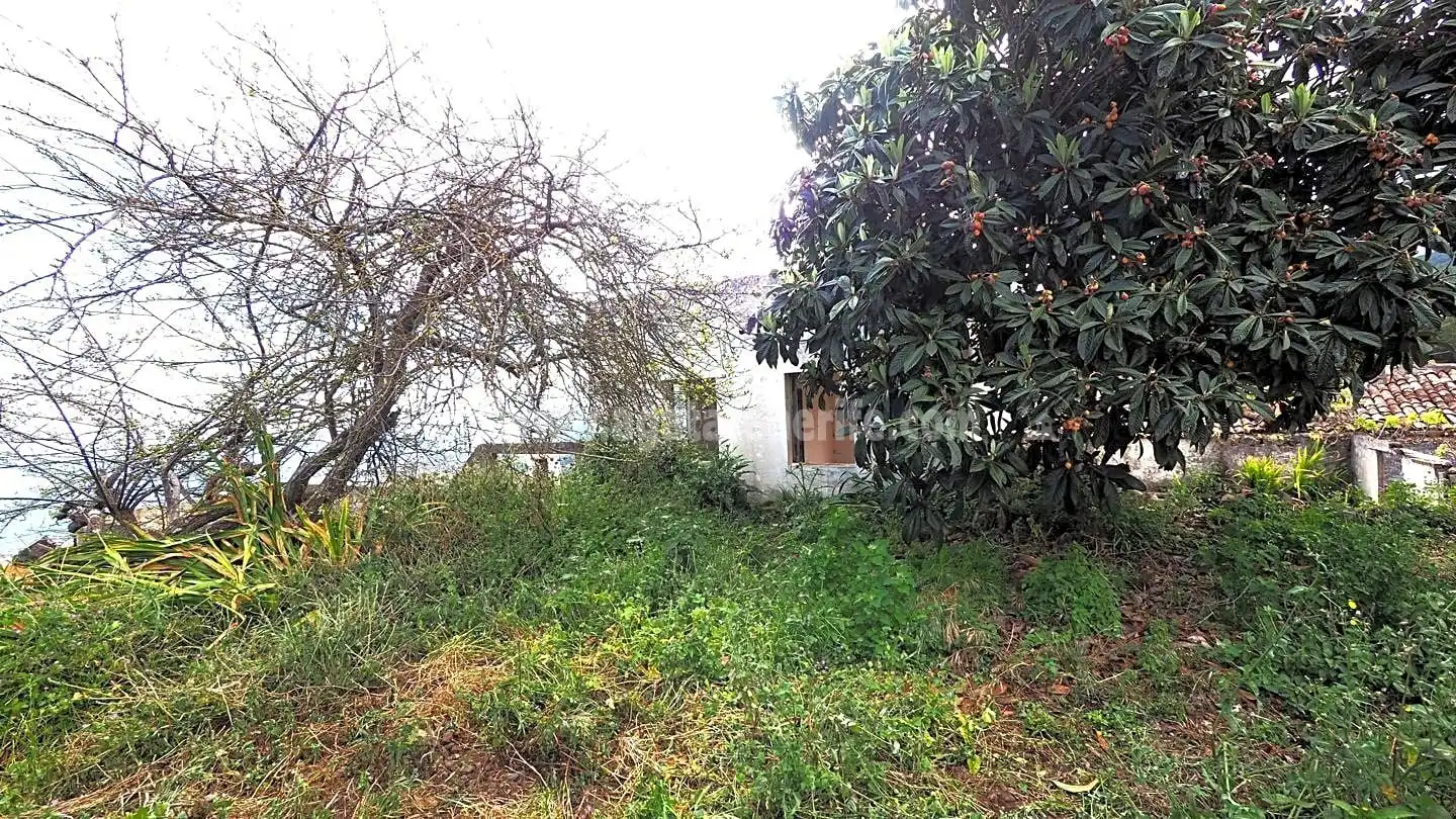 Maison rustique à vendre à La Vega - El Amparo - Cueva del Viento, imagen 25
