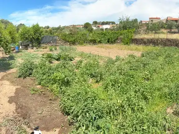 Pis en venda en Ahigal de los Aceiteros amb Traster, Moblat i Balcó