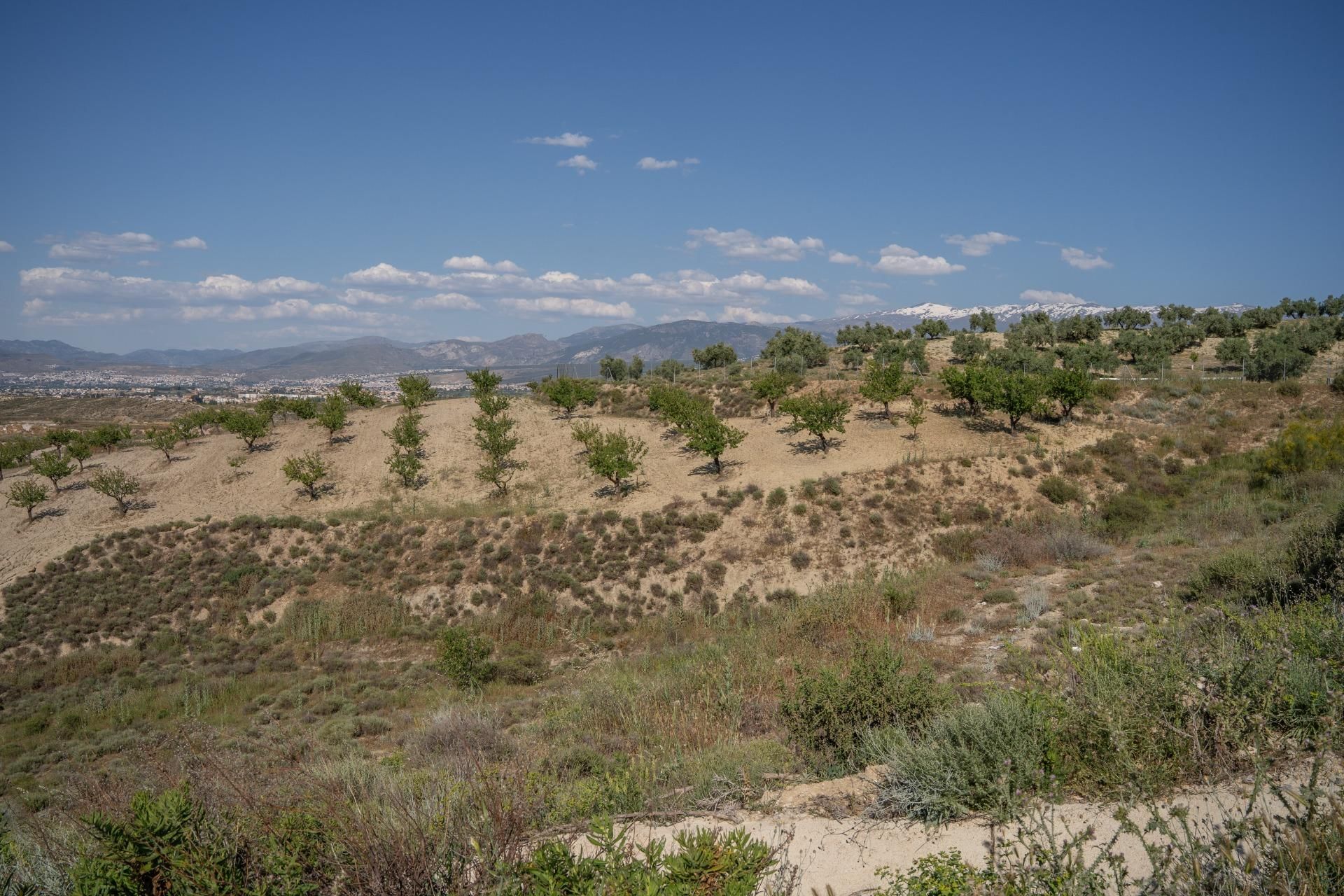 Grundstücke zum verkauf in Alhendín