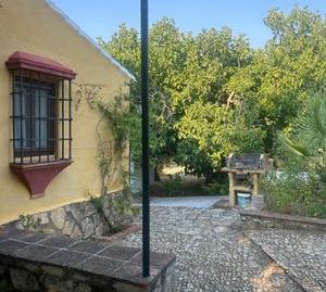 Foto 2 de Finca rústica en venda a Partida de Moreno y Vicenta, Centro, Málaga