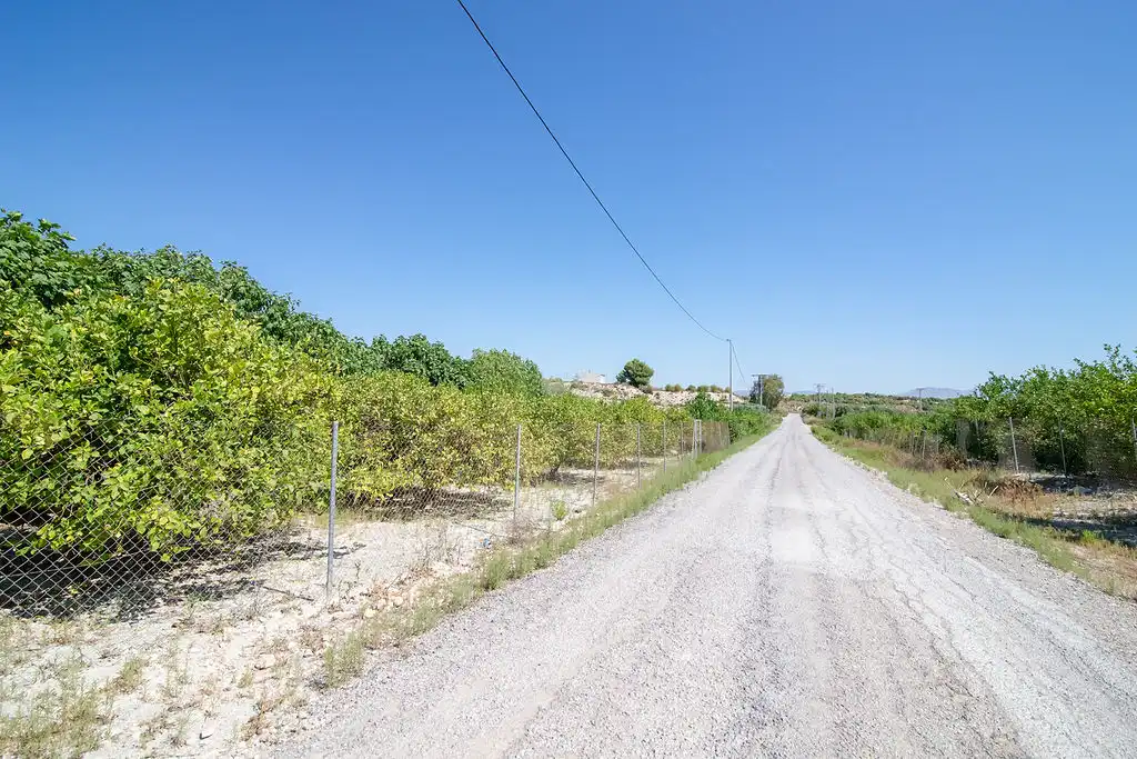 Lands and plots for sale in Paraje del Tale, imagen 27
