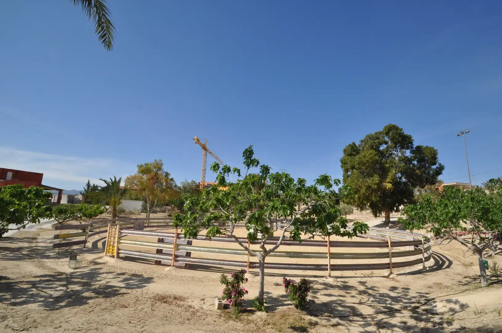 Business premises for sale in Abanilla, imagen 10