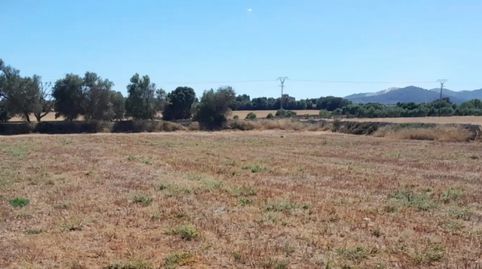 Foto 5 de Finca rústica en venda a Carrer de la Lluna, 8, Porreres, Illes Balears