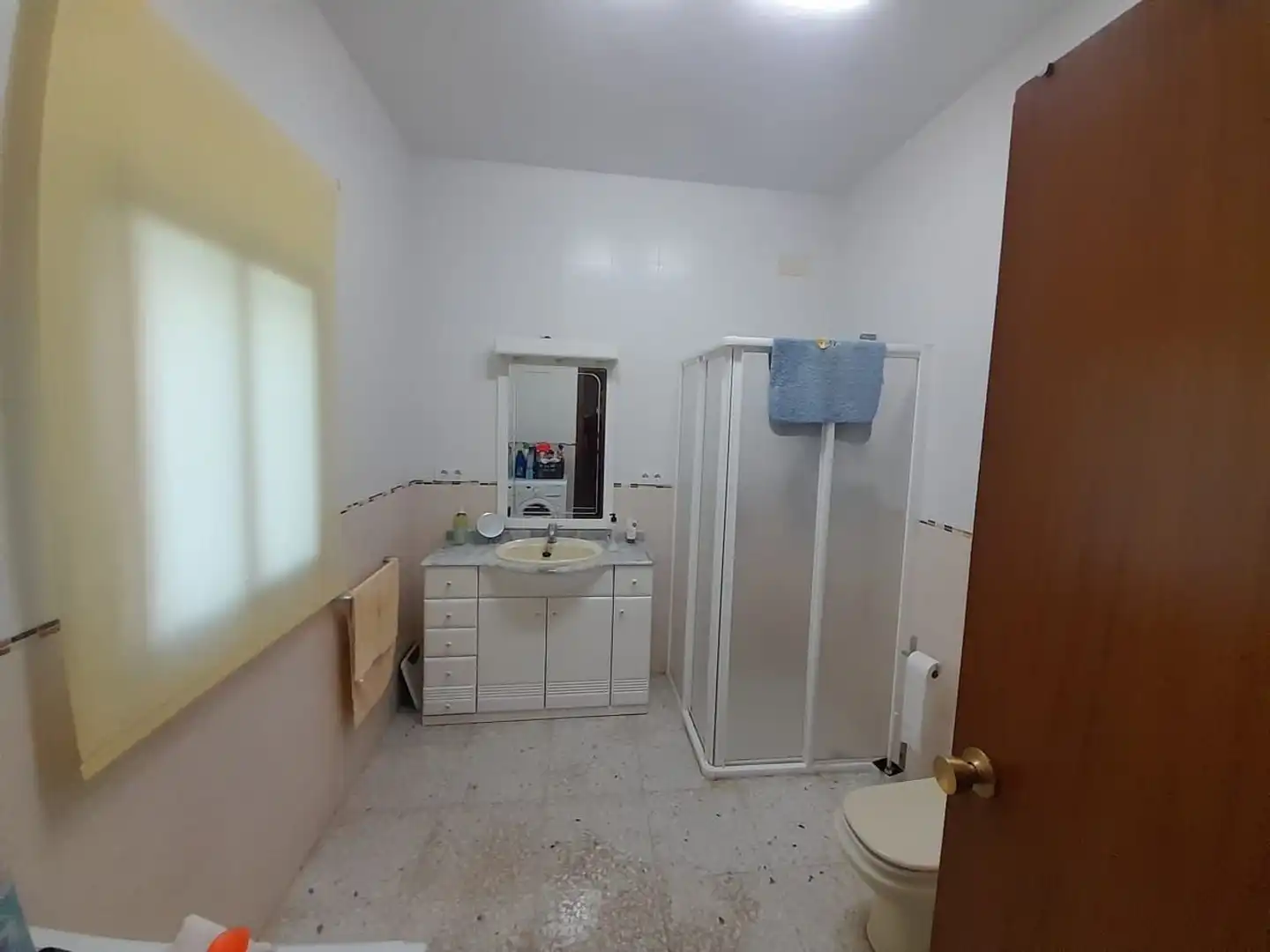 Baño de Finca rústica en venta en Fuente Obejuna con Jardín privado