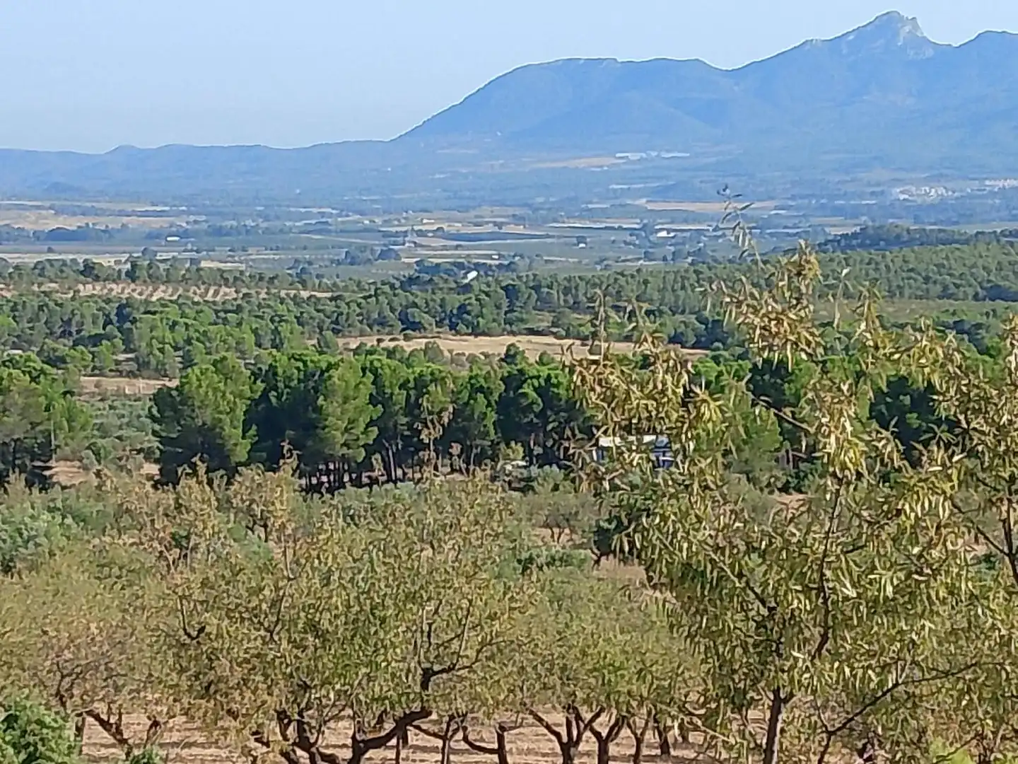 Terreny rústic en venda a N/A, imagen 87