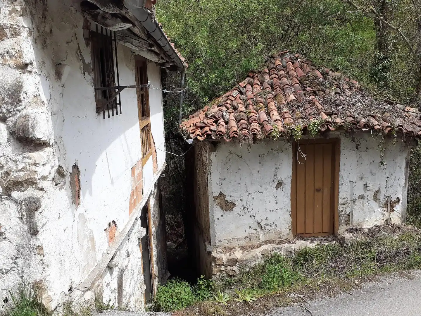 Exterior view of Houses for sale in Camaleño