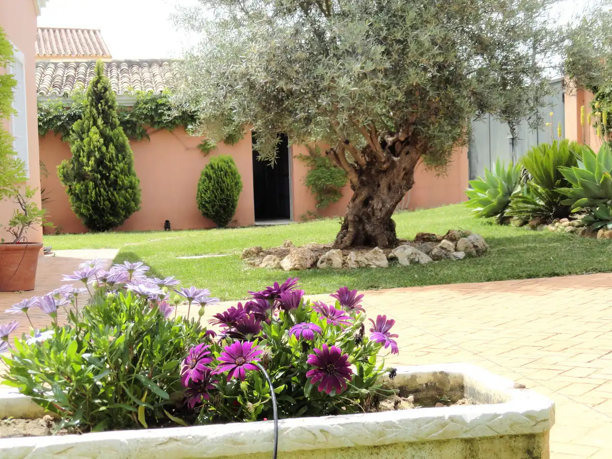 Casa amb piscina en venda a Estepona Pueblo, imagen 36