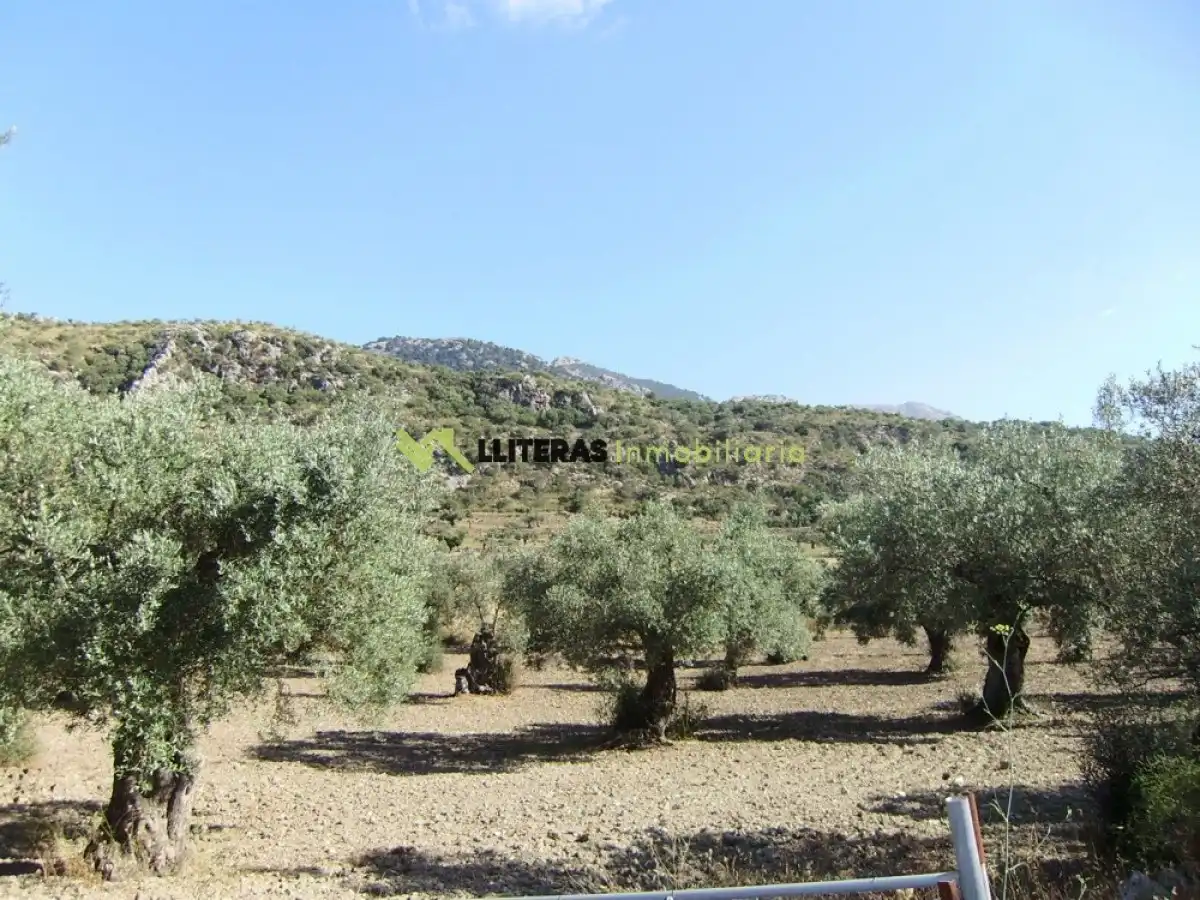 Country house for sale in Bunyola, imagen 7