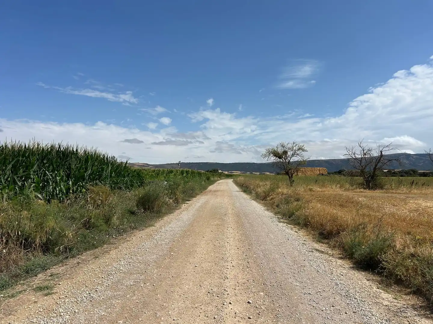 Terreny rústic en venda a 123 poligono 3, imagen 21