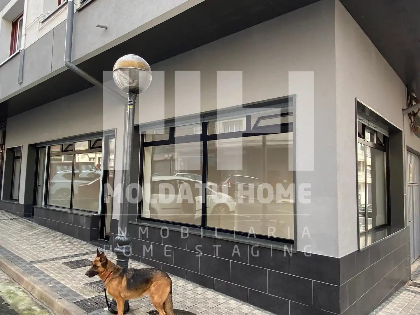 Business premises to rent in Pinar - Anaka - Belaskoenea, imagen 16