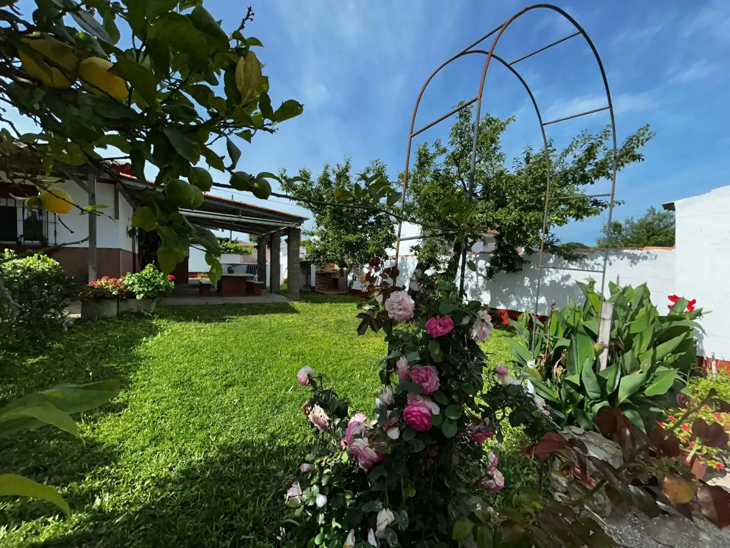 Jardí de Casa o xalet en venda en Chiclana de la Frontera amb Jardí privat, Terrassa i Traster