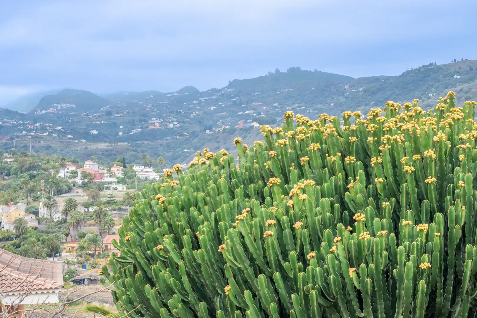Vista exterior de Casa o chalet en venta en Santa Brígida con Jardín privado, Terraza y Trastero