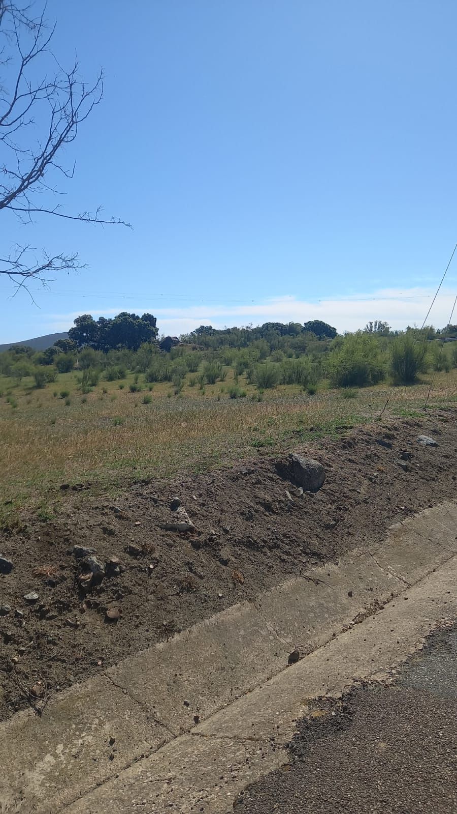 Terreny industrial en venda en Aljucén