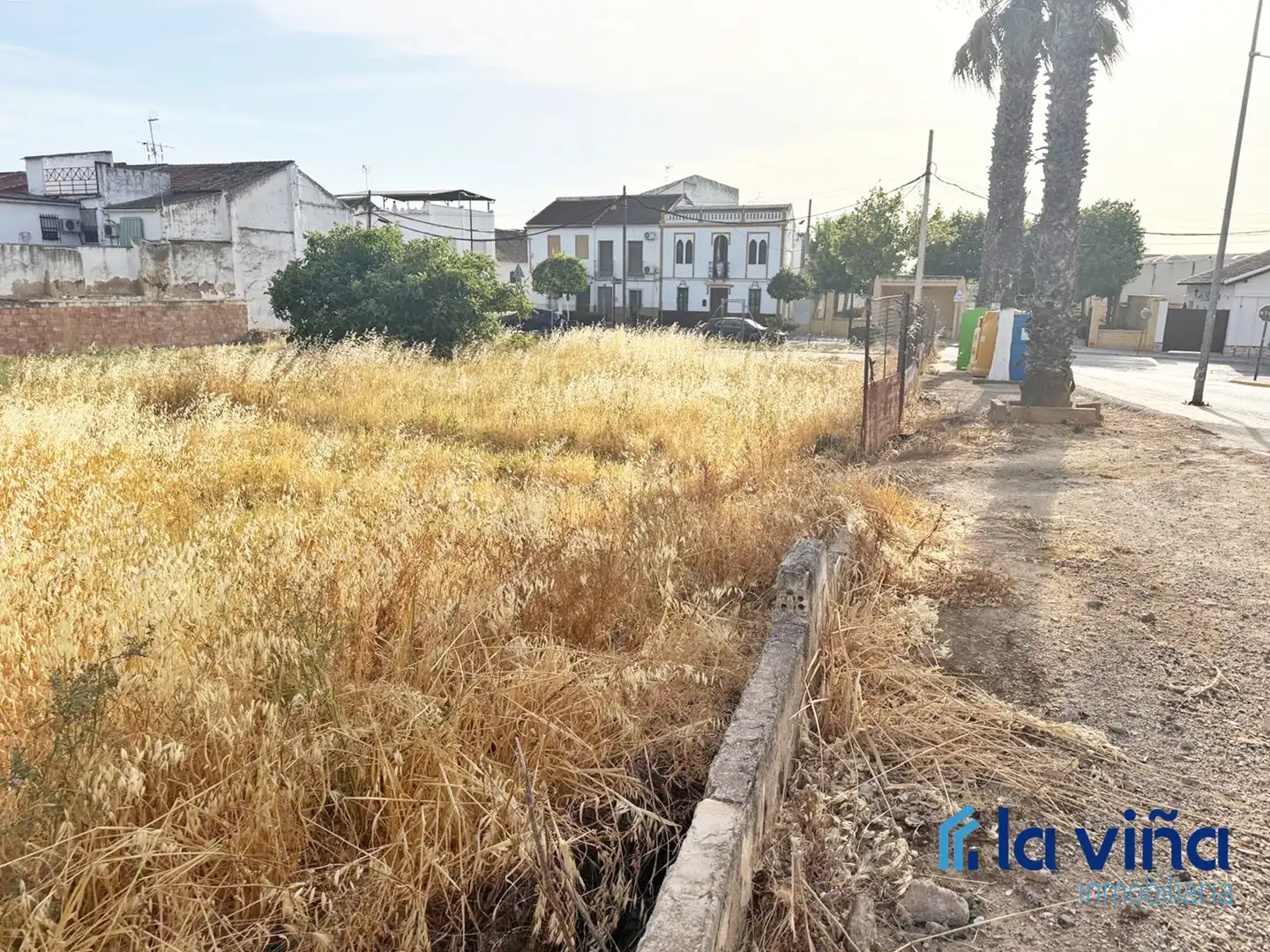 Terreny residencial en venda a La Roda de Andalucía, imagen 2