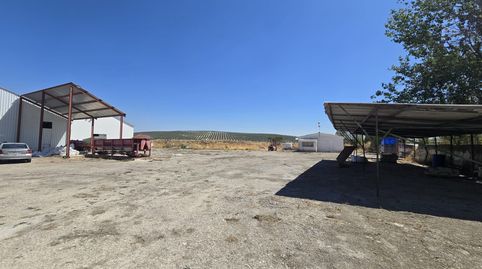 Finca de 7000m2 con 2000m2 de nave en el puente de la cerrada, termino de Ubeda.