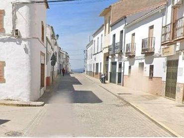 Haus zum Verkauf in Avenida CONSTITUCION (LA)