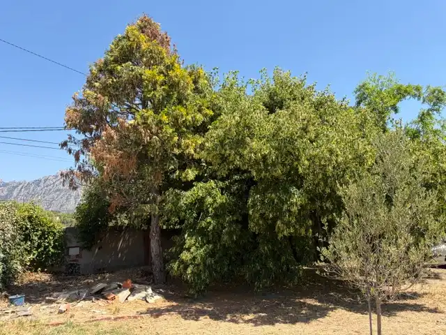 Haus oder Chalet zum Verkauf in Els Hostalets de Pierola mit Klimaanlage, Heizung und Privatgarten
