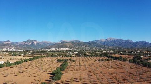 Photo 4 of Residential for sale in Gran Via de Colom, Inca