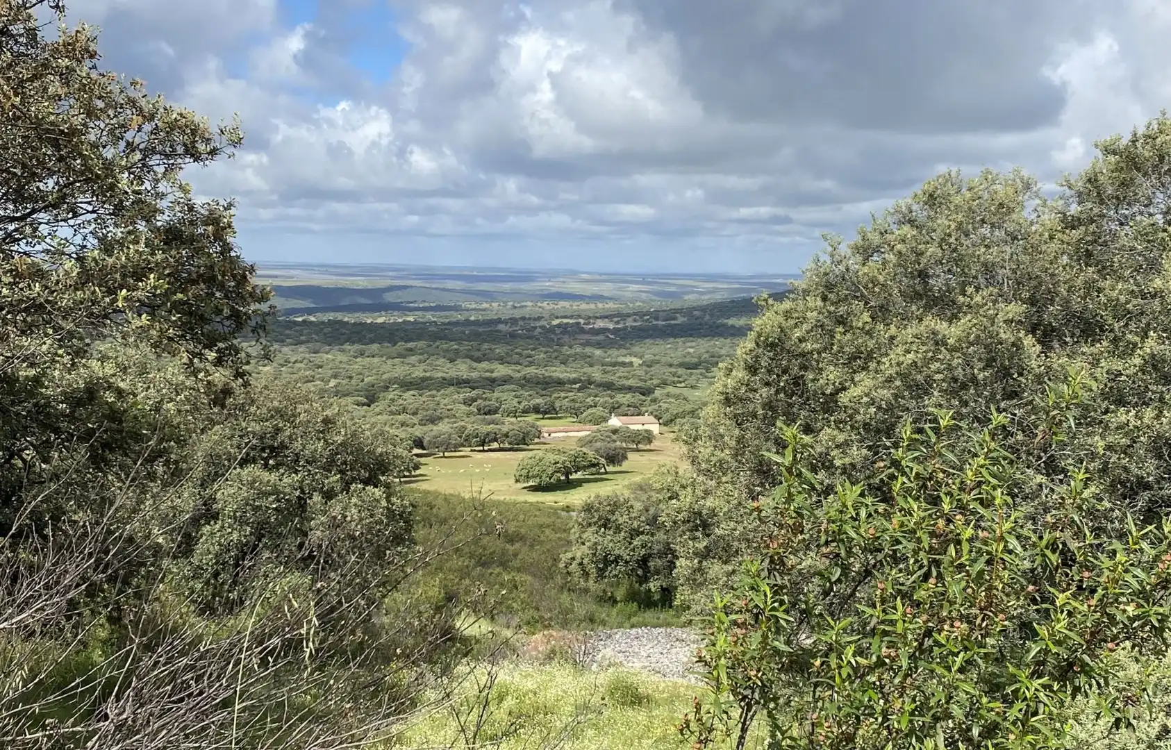 Terreno en venta en Deleitosa