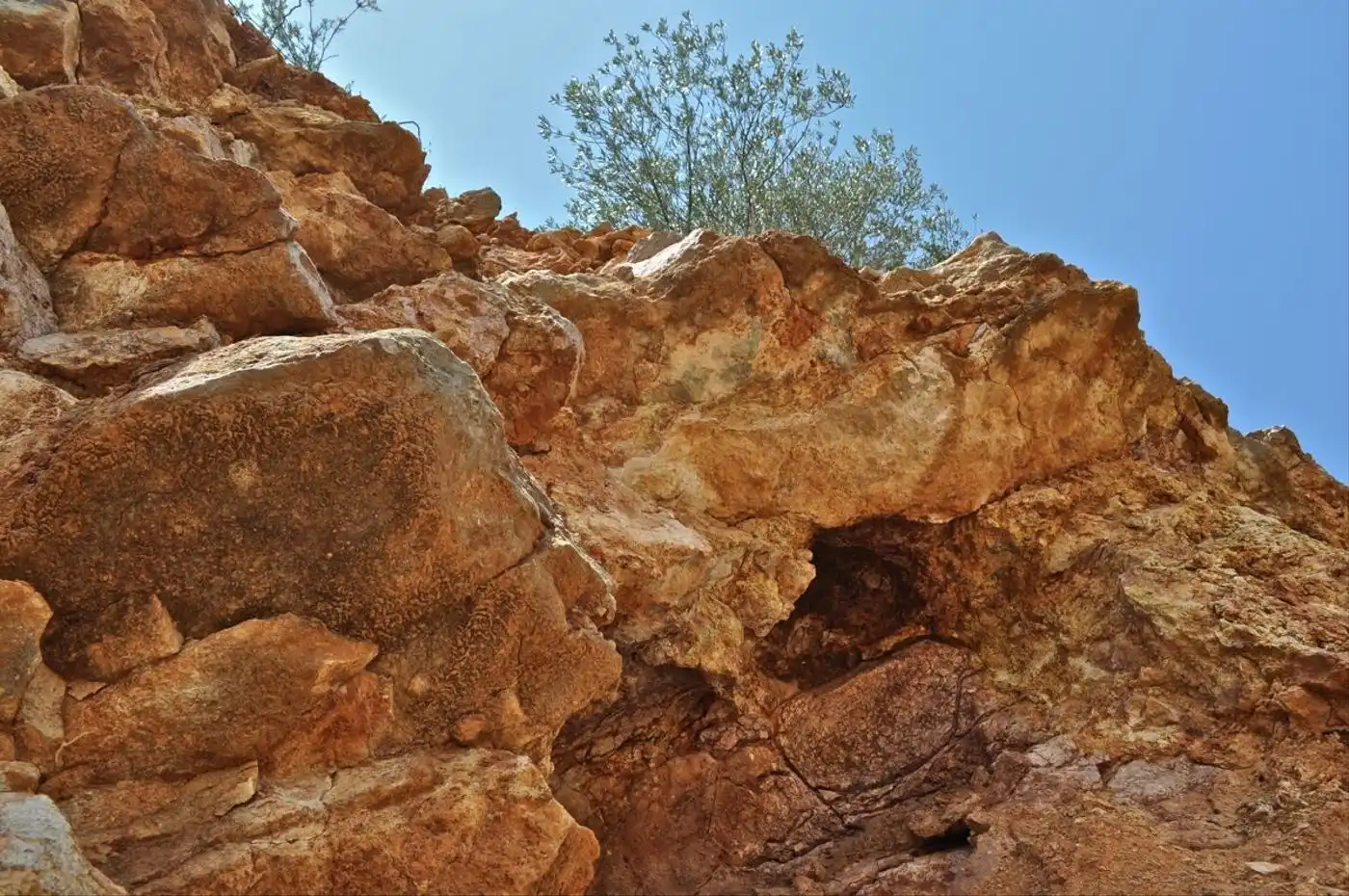 Land for sale in Camí del Barranc de la Llet, 26, Sant Llàtzer