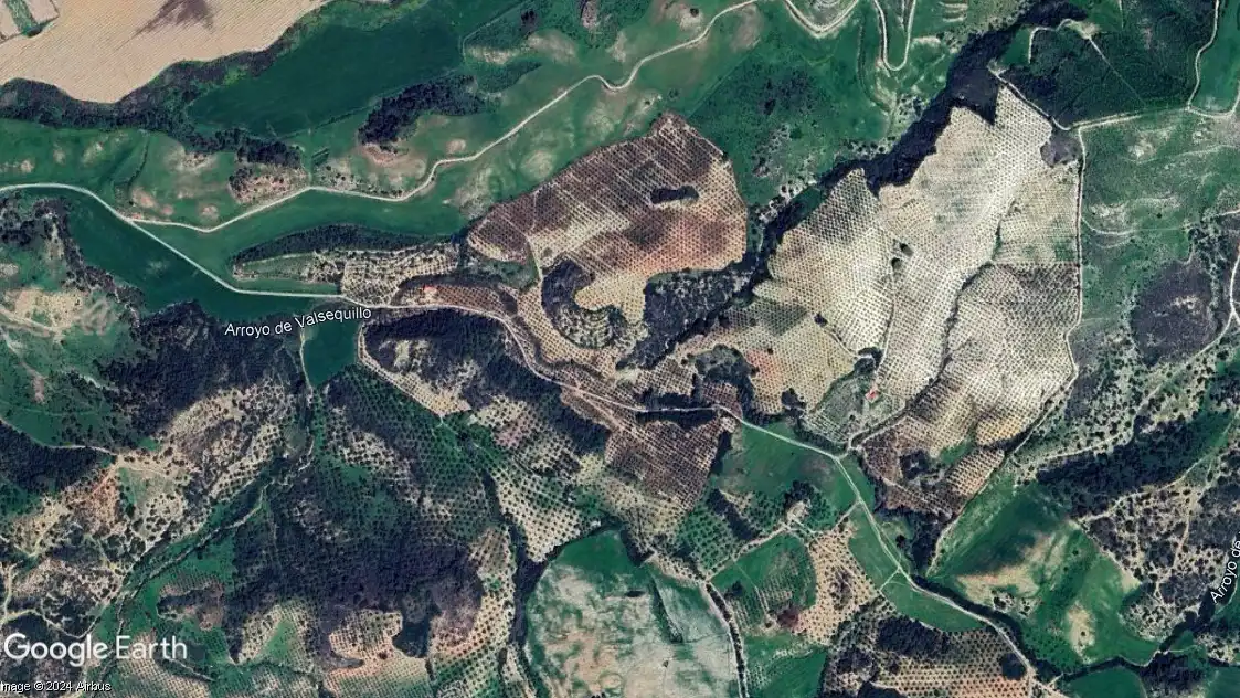 Rural land for sale in Morón de la Frontera, imagen 6