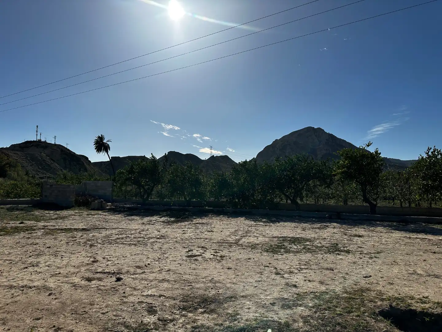 Rural land for sale in Avenida Reyes de España 41, imagen 4