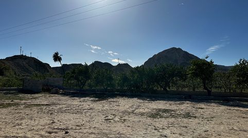 Campo en Ulea , immagine 4