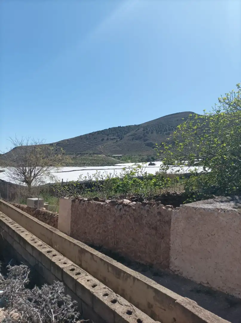 Casa rústica en venda a Dalías, imagen 5
