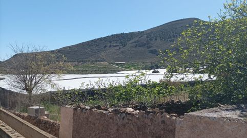 SE VENDE CORTIJO CON TERRENO, imagen 5